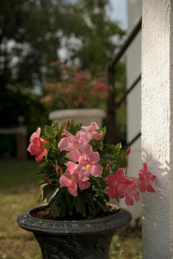 La Villa Del Barone Predaia エクステリア 写真